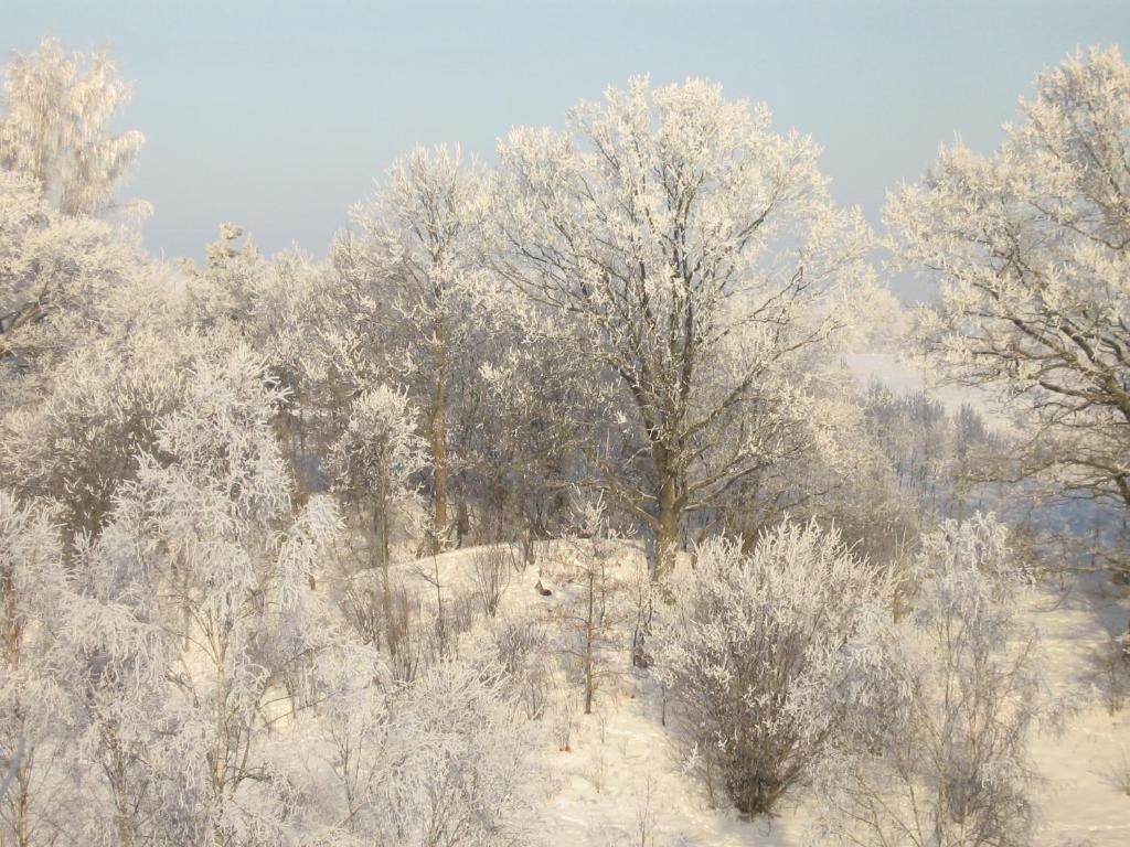 Виллы Jaunkrastmaļi Кандава-77